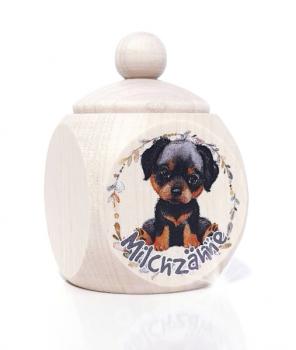 Rottweiler Junge MZD